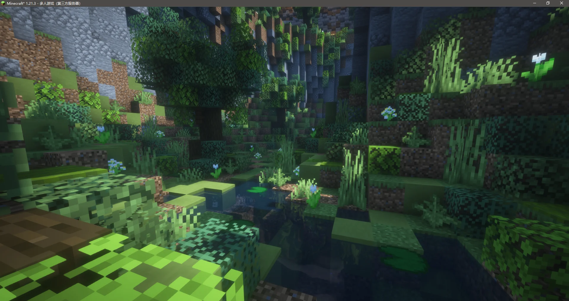 Minecraft_ 1.21.3 - 多人游戏（第三方服务器） 2025_2_8 14_08_53.webp