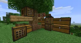 汤姆的简易存储 Tom's Simple Storage Mod