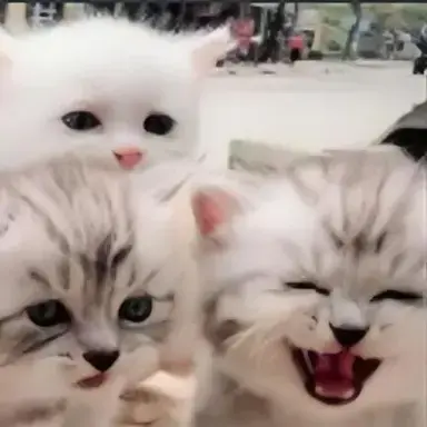 资源包 - Mandala's GUI - Dark mode-Mandala的深色模式GUI | HiMCBBS 我的世界中文论坛 ...