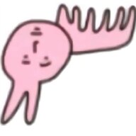 yyywws