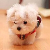 coolwinz