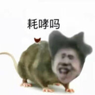 fwefasd