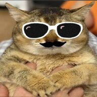 Skif