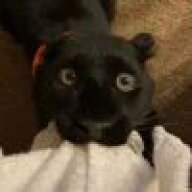 ytb