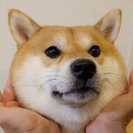 羲锘