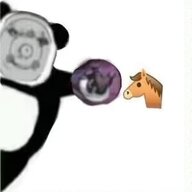 11451419198106