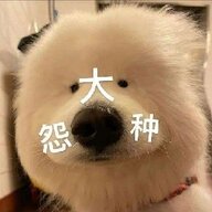 梦碎
