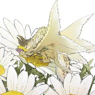 蠕虫