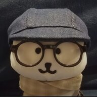 在逃半月板