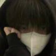 dsasda