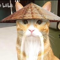 亲吻全额委屈委屈额为