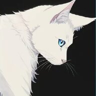 玖nine