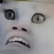 茶茶