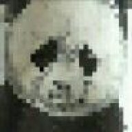 PANPA猫熊
