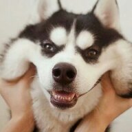 无头奇士