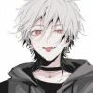 新人zxy
