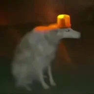 我是人鸡