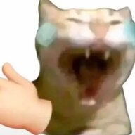 woshider