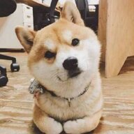 来碗猪骨汤