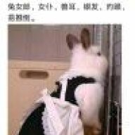 彼阳的晚意