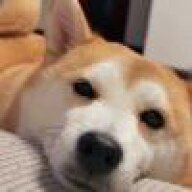 jiett