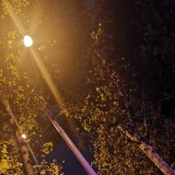 无无