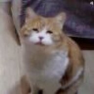 874847