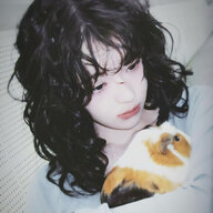 Ricevire__