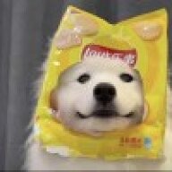 打我的打我