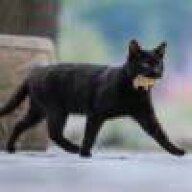 啧啧啧版本版本不不不不不