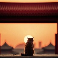 手动手动