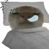 Jun笨