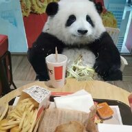 正在打瞌睡233