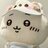 章鱼须zyx
