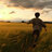 lostdreamfind
