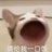 feifei的mc