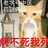 脆脆薯条