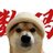 柏林