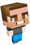pinned-images.php